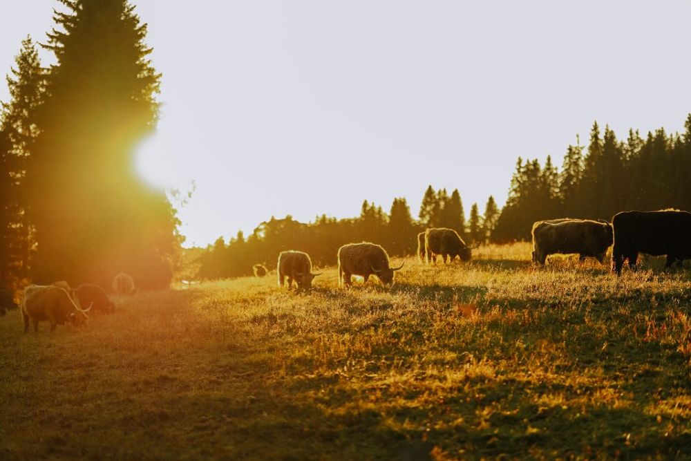 10% sleva na další focení - poděkování za hodnocení