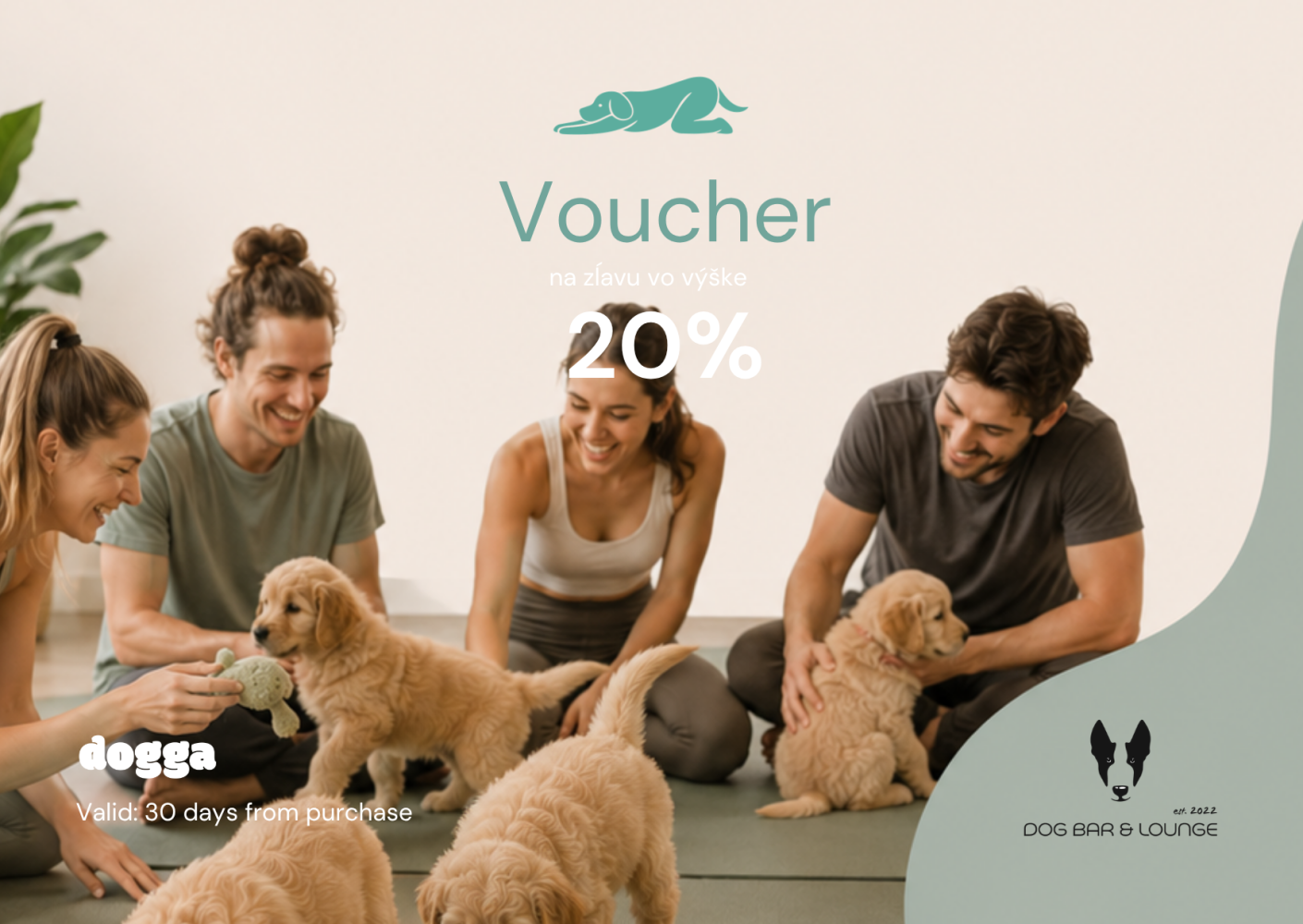 20% OFF