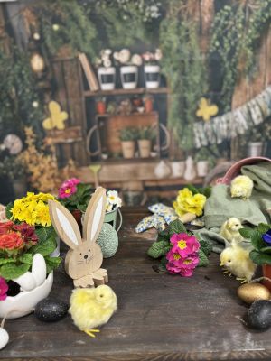 Jarní focení:mini focení 