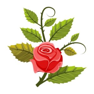 Thajská aroma olejová masáž / Thai aroma oil massage 