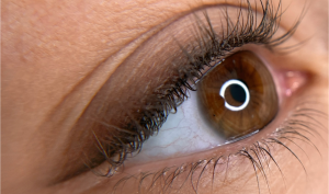 Očná linka tieňovaná Lea