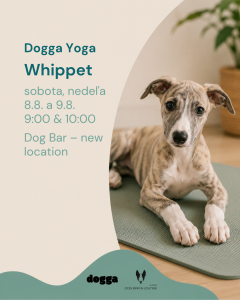  Vipet | Dogga Yoga | 08.08.2026 & 09.08.2026