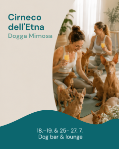 Cirneco dell'Etna | Dogga Mimosa | 18. 7. • 19. 7. • 25. 7. • 26. 7. 2026
