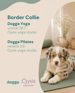 Borderská kólia | Dogga Pilates 02.08.2026